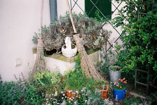 Two Brooms Near Fence and Wall