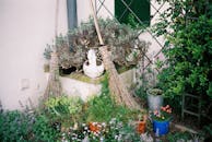 Two Brooms Near Fence and Wall