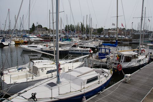 Yachts and Sailboats in Marina