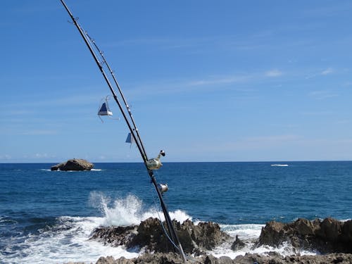Foto d'estoc gratuïta de afició, oceà, pescant
