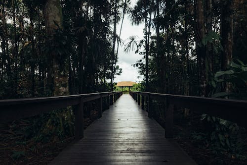 茶色の木の歩道橋