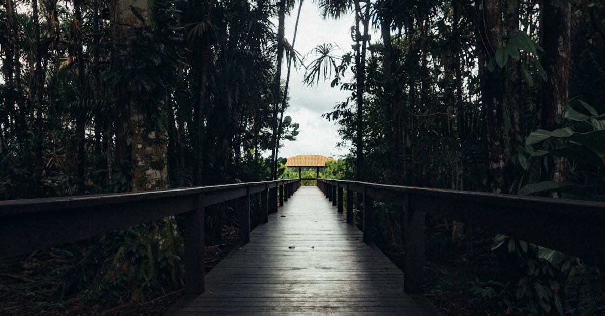 旅行攝影者輕裝出行,手機望遠鏡適合使用者情境