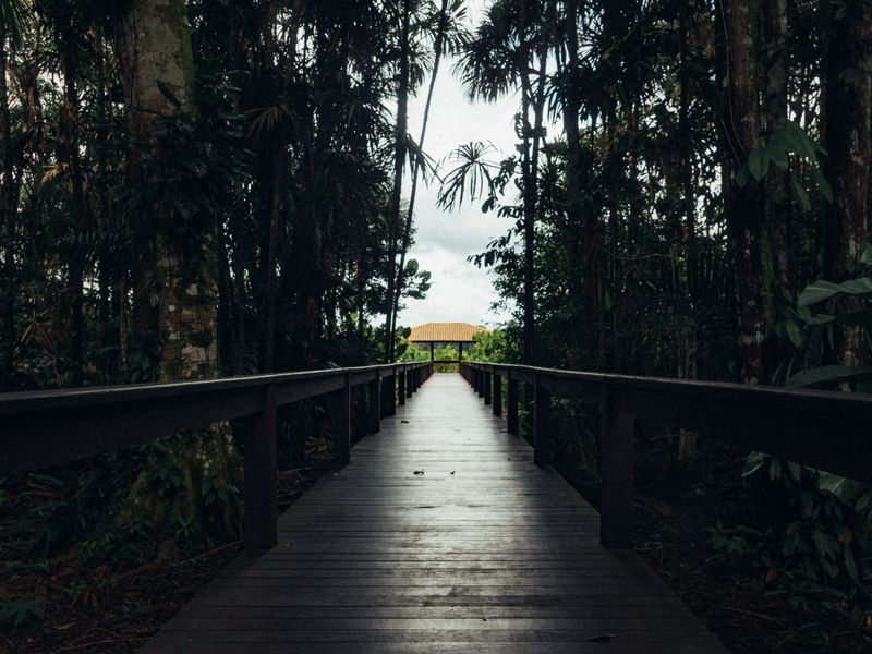 Santé et assurance maladie en Guyane