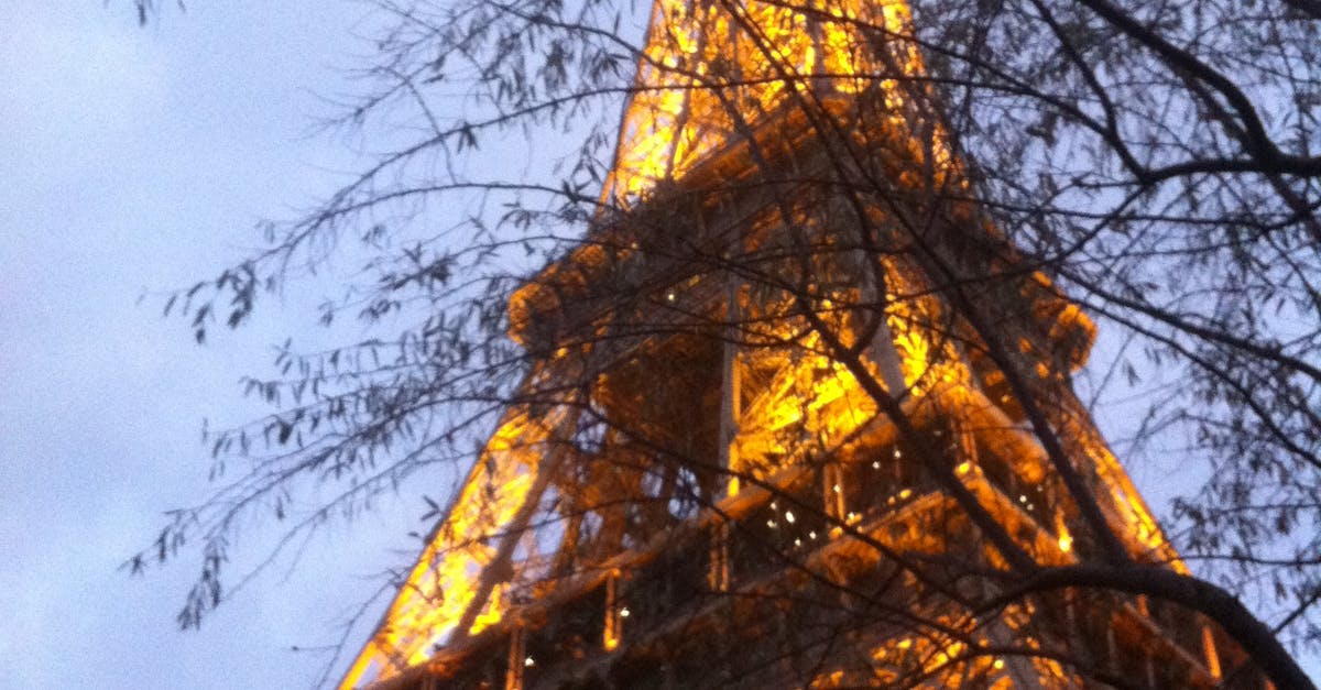 Free stock photo of dusk, eiffel tower, paris