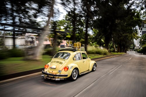 Darmowe zdjęcie z galerii z vocho, vwbeetle, vwbug