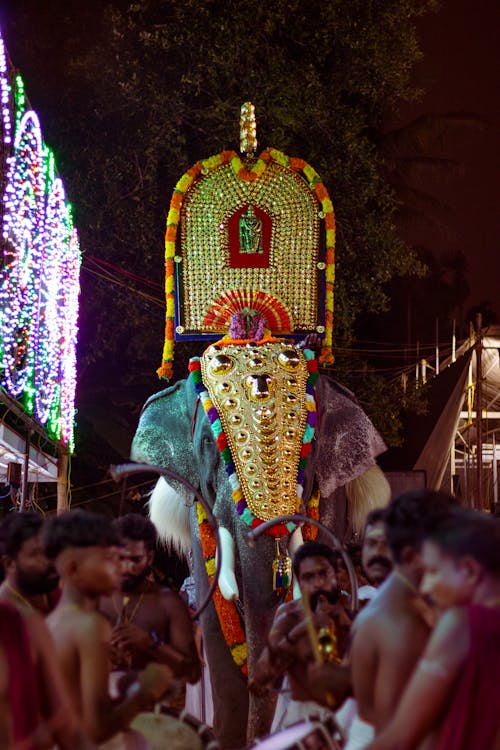 Elephant kerala temple festival 2024