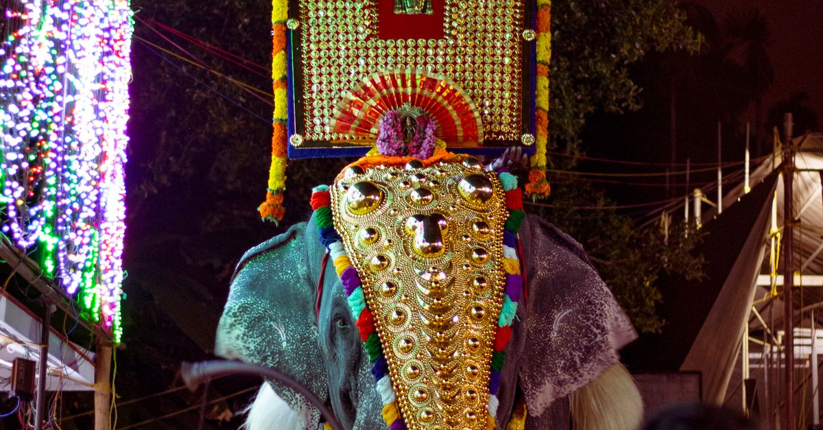 Elephant Welcome Ritual People with Golden Elephant in Religion Ceremony · Free Stock Photo