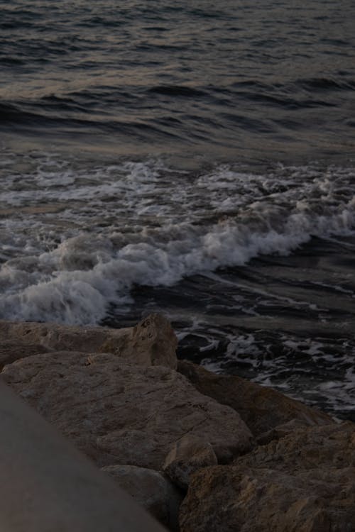 Free stock photo of evening, ocean, sea