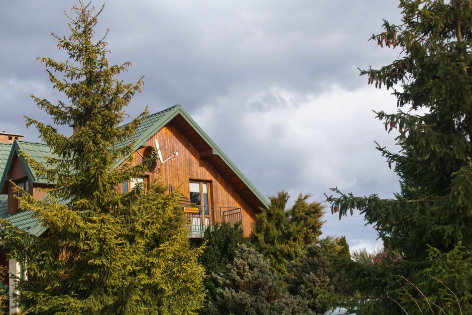 Como Criar uma Rotina de Exercícios Divertida em Casa 2 Charming wooden house amidst lush evergreen trees under a cloudy sky.