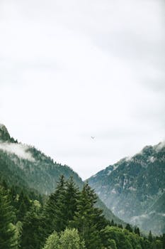 Serene aerial view of a lush green forest nestled between misty mountains under a cloudy sky.