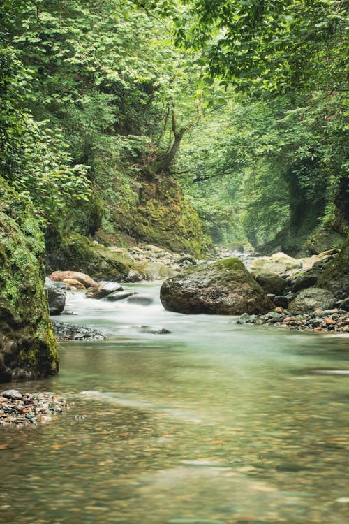 Foto stok gratis alam, batu, dalam