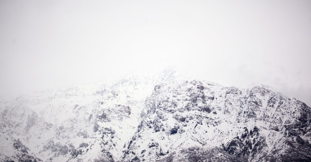 生活:玉山下雪了,卻只有2公分的積雪美景讓人驚艷