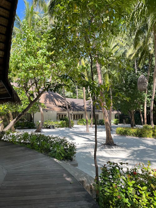 View of a Resort and Palm Trees in Maldives