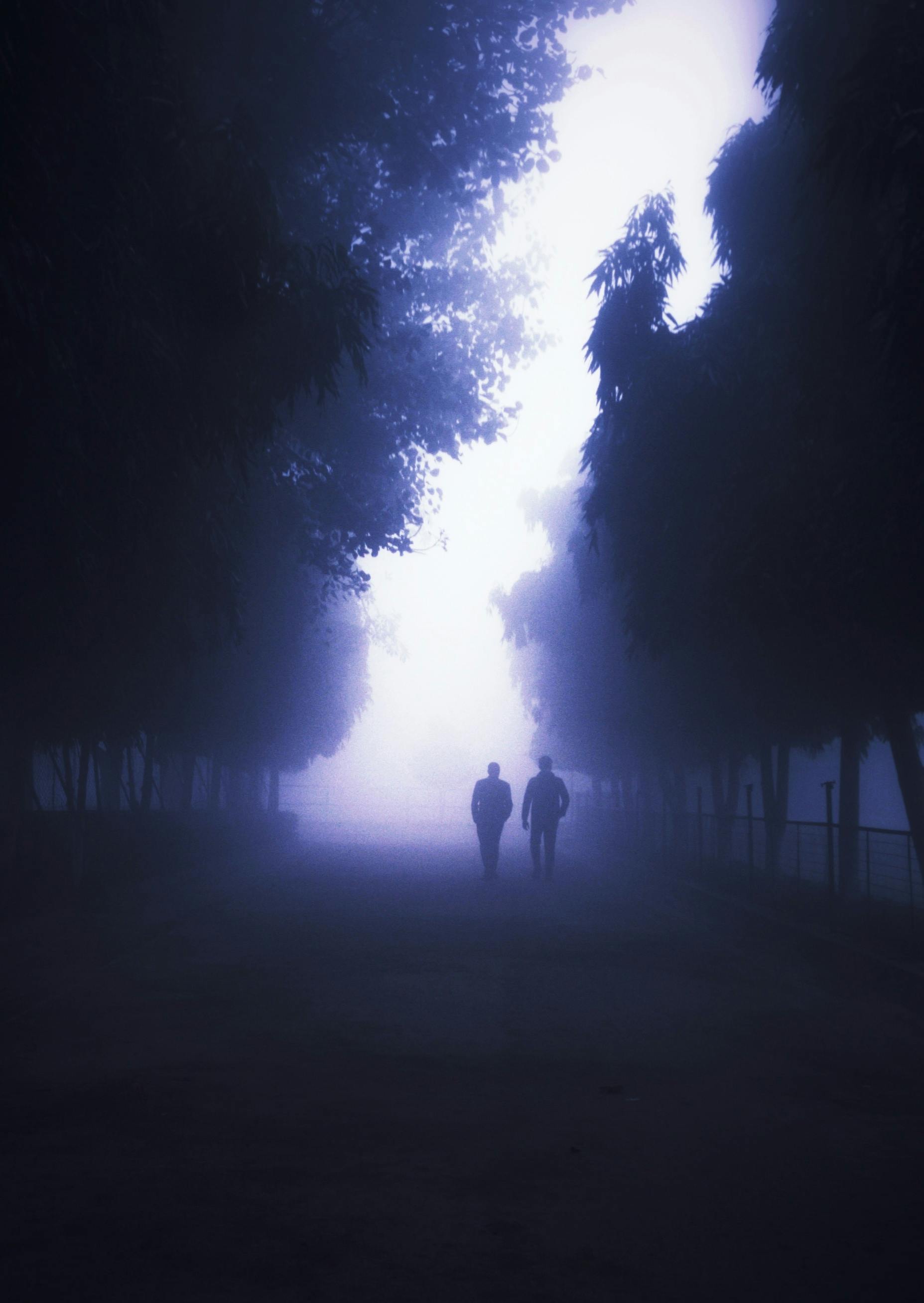 People Walking at Park in Darkness · Free Stock Photo