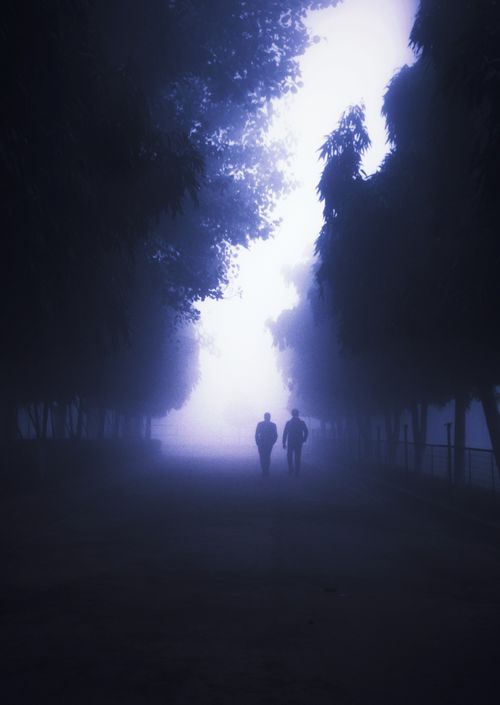 Free Two silhouetted figures walking through a foggy park in New Delhi, India. Stock Photo