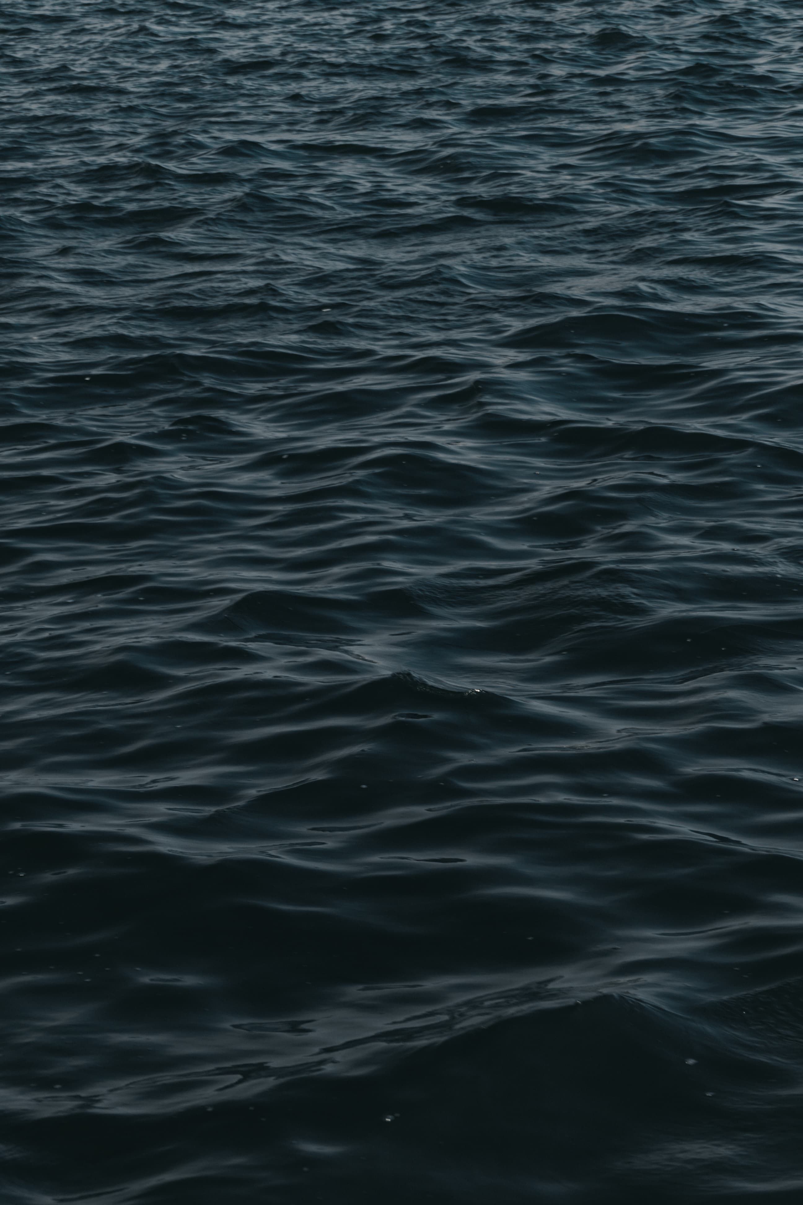 Undulating Dark Surface of the Ocean · Free Stock Photo