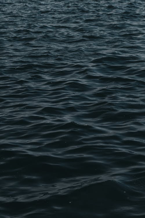 Foto profissional grátis de escuro, mar, oceano