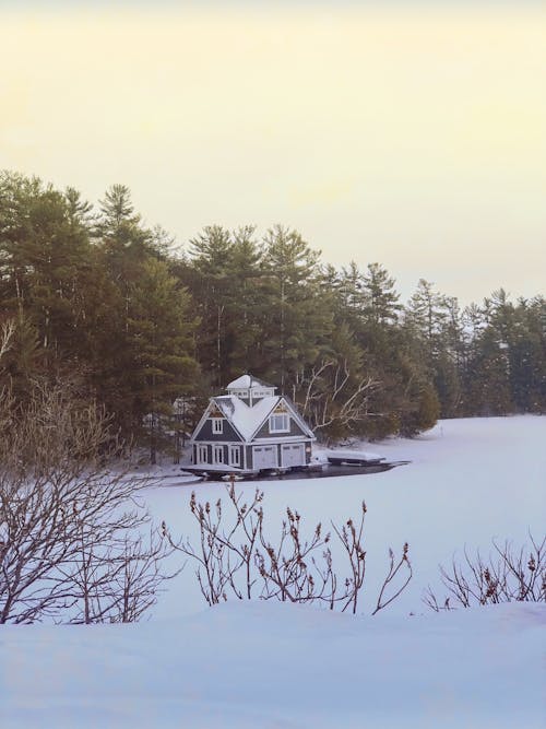 Бесплатное стоковое фото с зима, пейзаж, снег