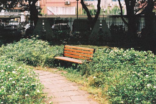 Wooden Bench Among Shrubs in the Park