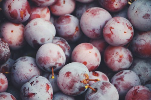 Foto d'estoc gratuïta de agricultura, frescor, fruita