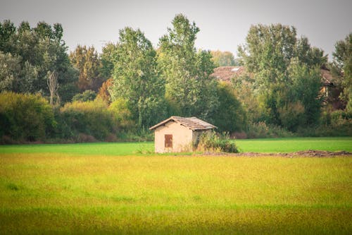 Free stock photo of abandoned house, agricultural field, country house