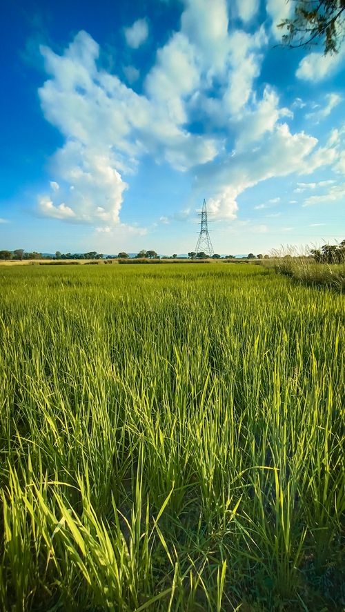 Free Village Scenes  Stock Photo