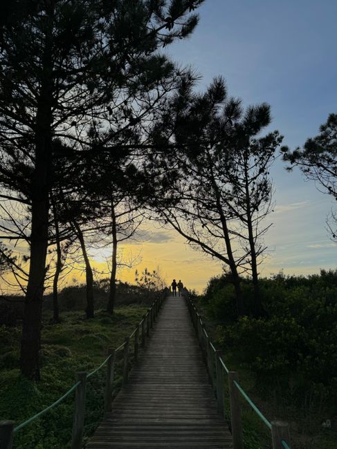 Fotomural Figuras en silueta caminando por un paseo en el bosque al atardecer.