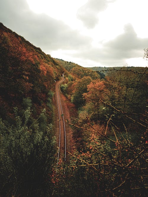 Aerial View of a Railway between Autumnal Trees in Mountains 