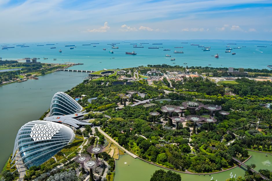 Stunning aerial view of Singapore's Gardens by the Bay with ships in the background.