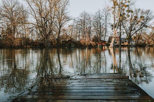 Free A tranquil lake reflects bare trees and autumn landscape with a wooden pier leading into the water. Stock Photo