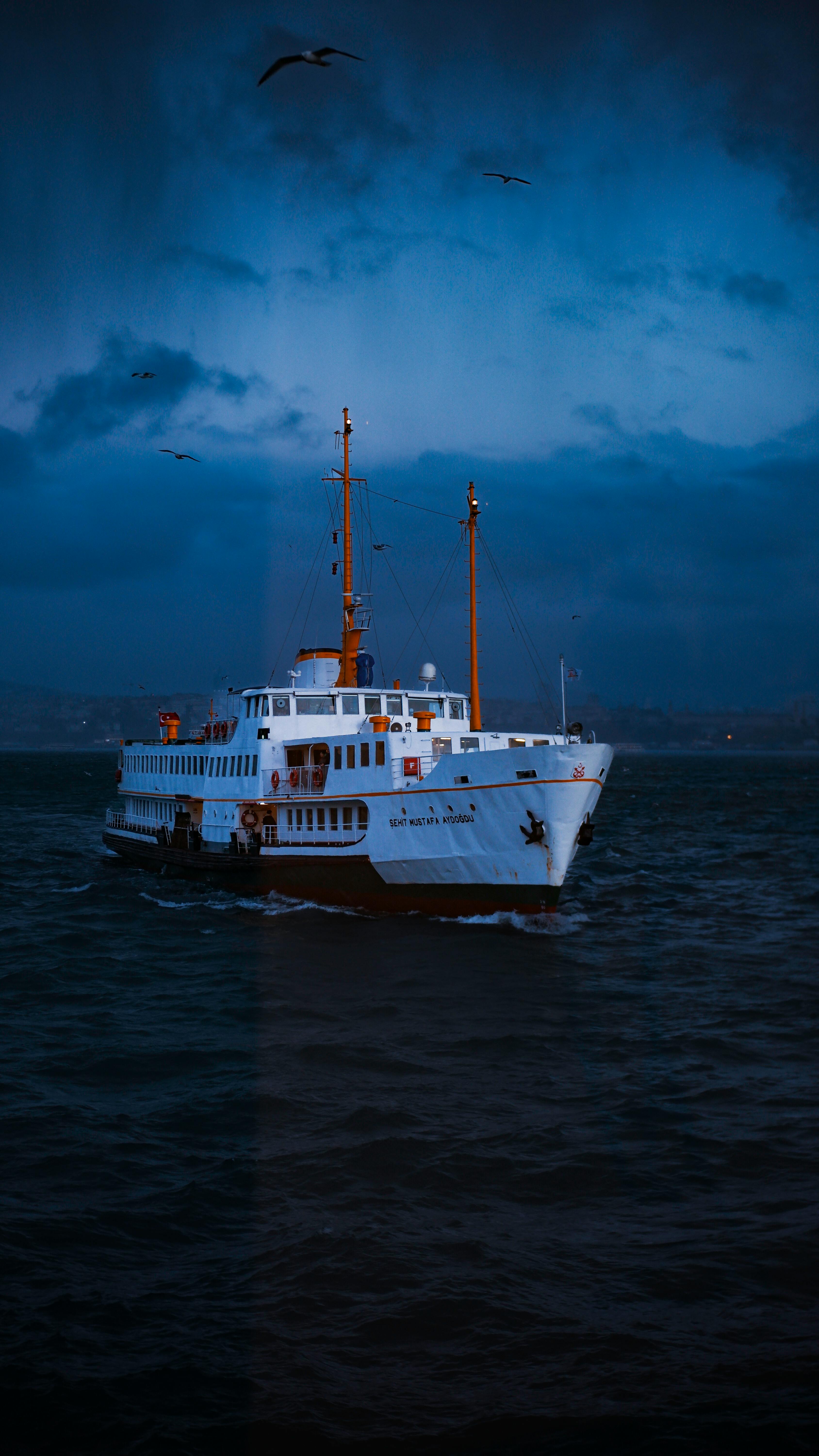A majestic ship sails the tranquil ocean waters under a twilight sky, surrounded by serene ambiance.
