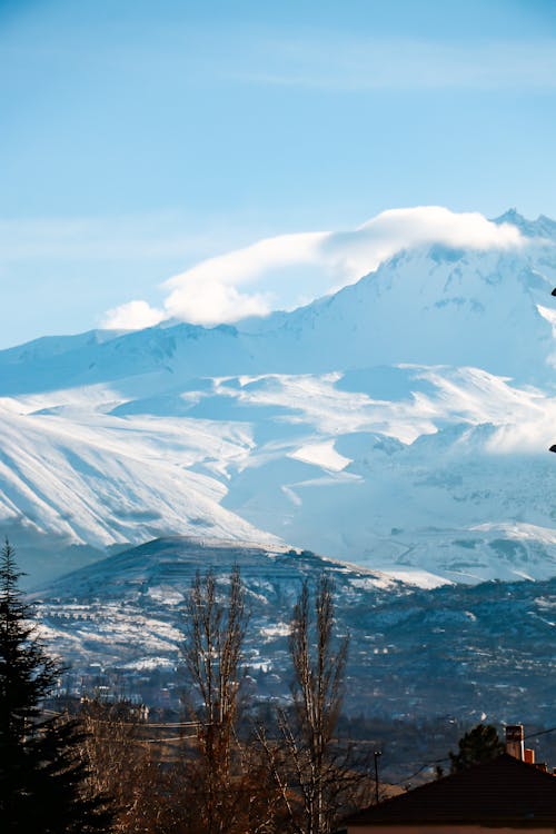 Imagine de stoc gratuită din arbori, călătorie, fotografie cu drona