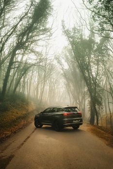 A sleek SUV on a winding road surrounded by fog and tall trees, creating a mysterious atmosphere.