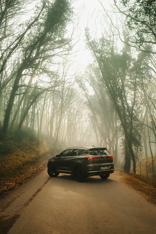 Free A sleek SUV on a winding road surrounded by fog and tall trees, creating a mysterious atmosphere. Stock Photo