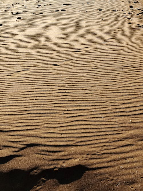 ayak izleri, çekilmiş, çöl içeren Ücretsiz stok fotoğraf