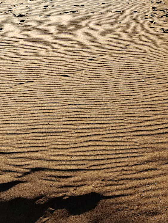 ayak izleri, çekilmiş, çöl içeren Ücretsiz stok fotoğraf