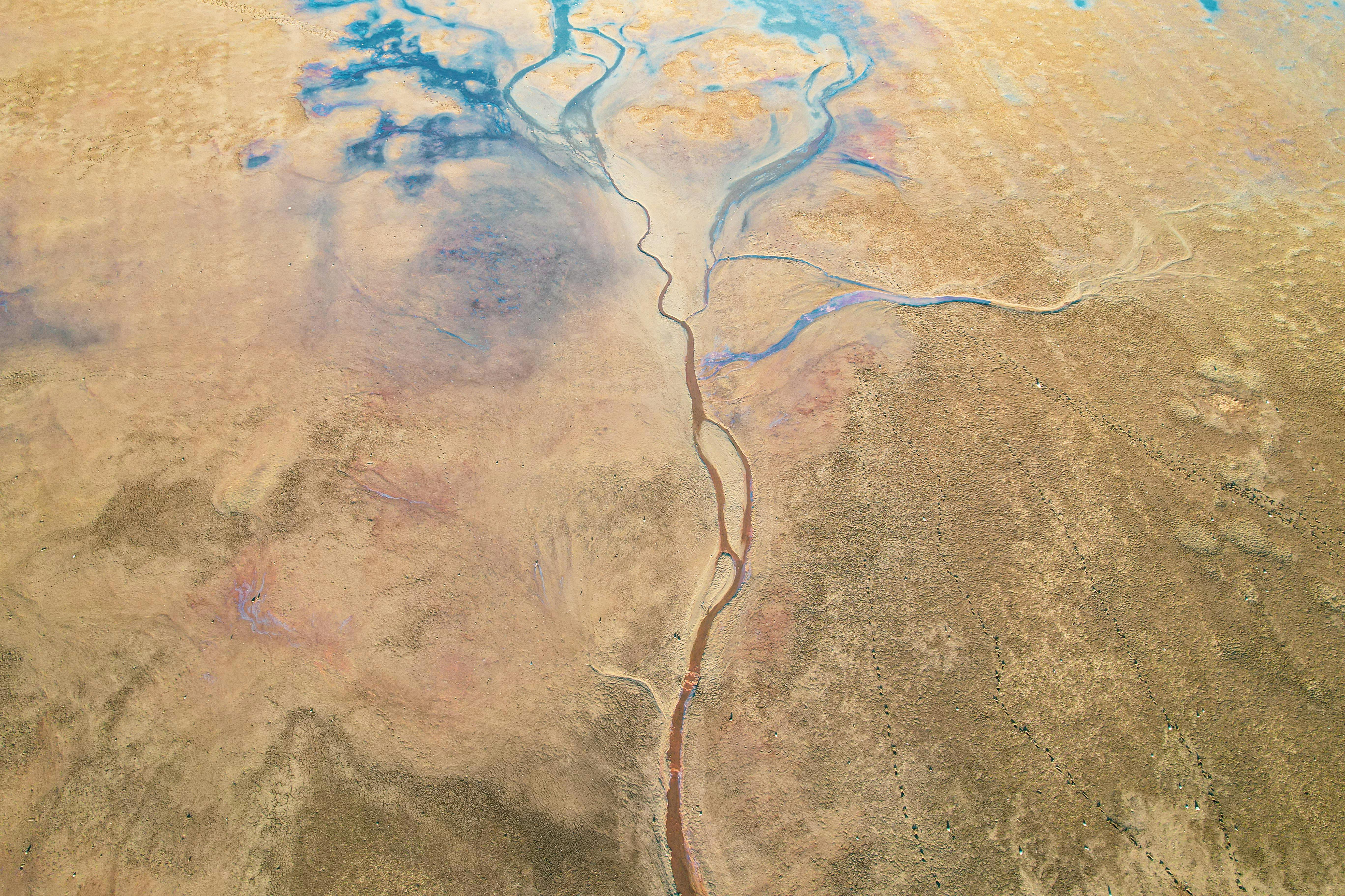 climate resilience drought mitigation — Photo by Vladimir Srajber on Pexels