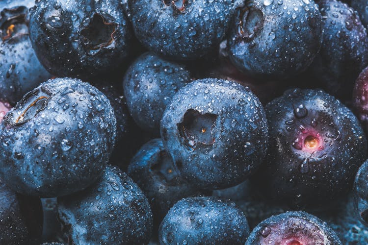 Blackberries In Macro Photography