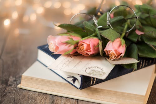 Free Pink Rose Flowers and Book Stock Photo