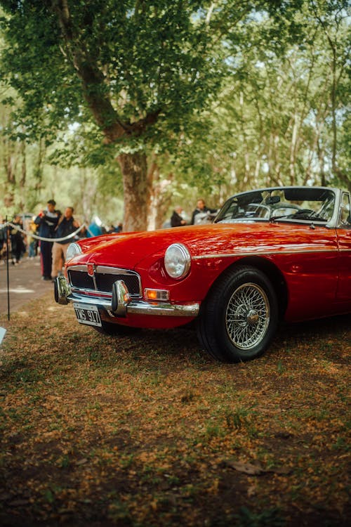 Δωρεάν στοκ φωτογραφιών με mg, mgb, vintage