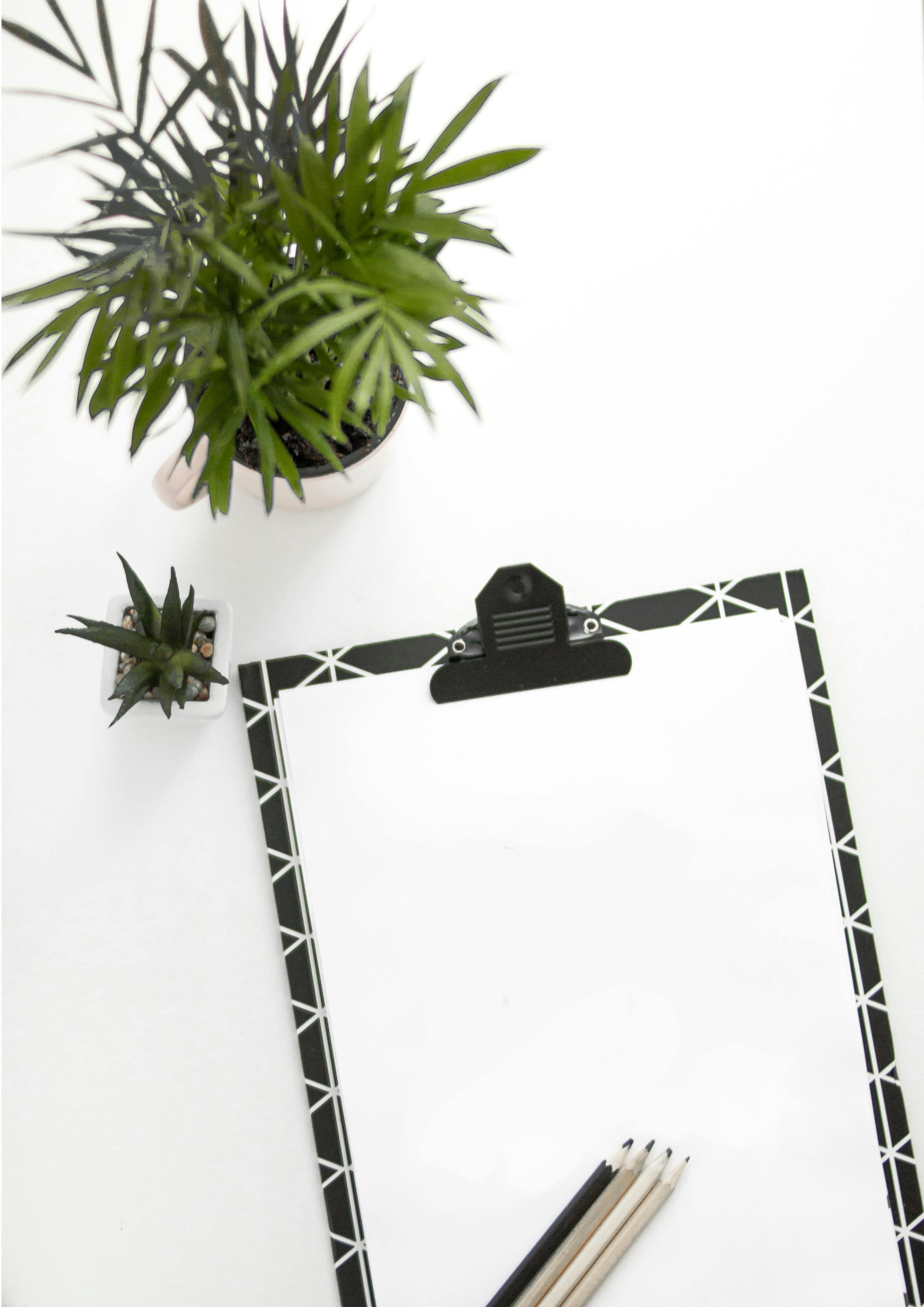 Paper on Board Beside Potted Plant on White Surface