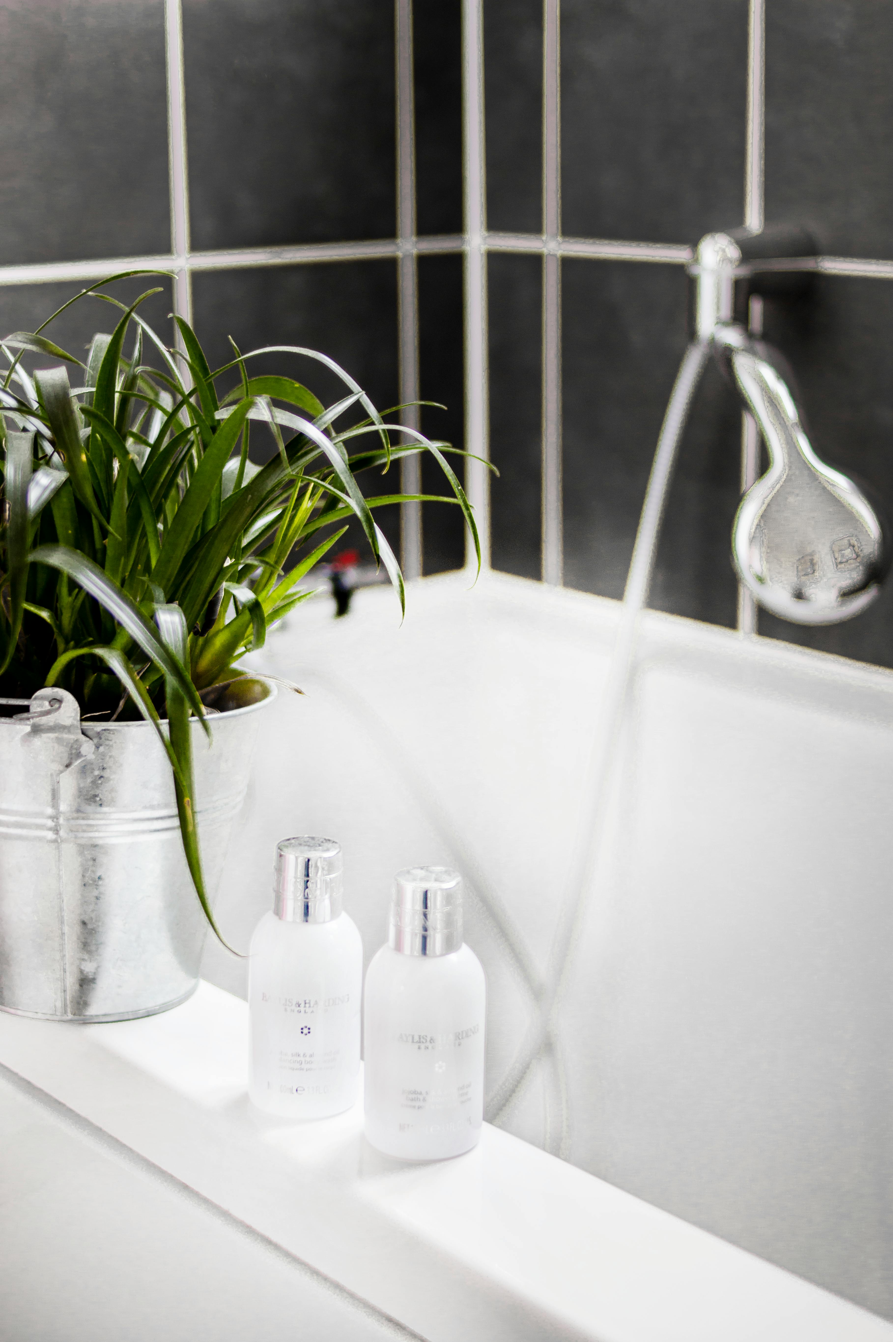 Two White Bottles Beside Potted Plant on Bathtub