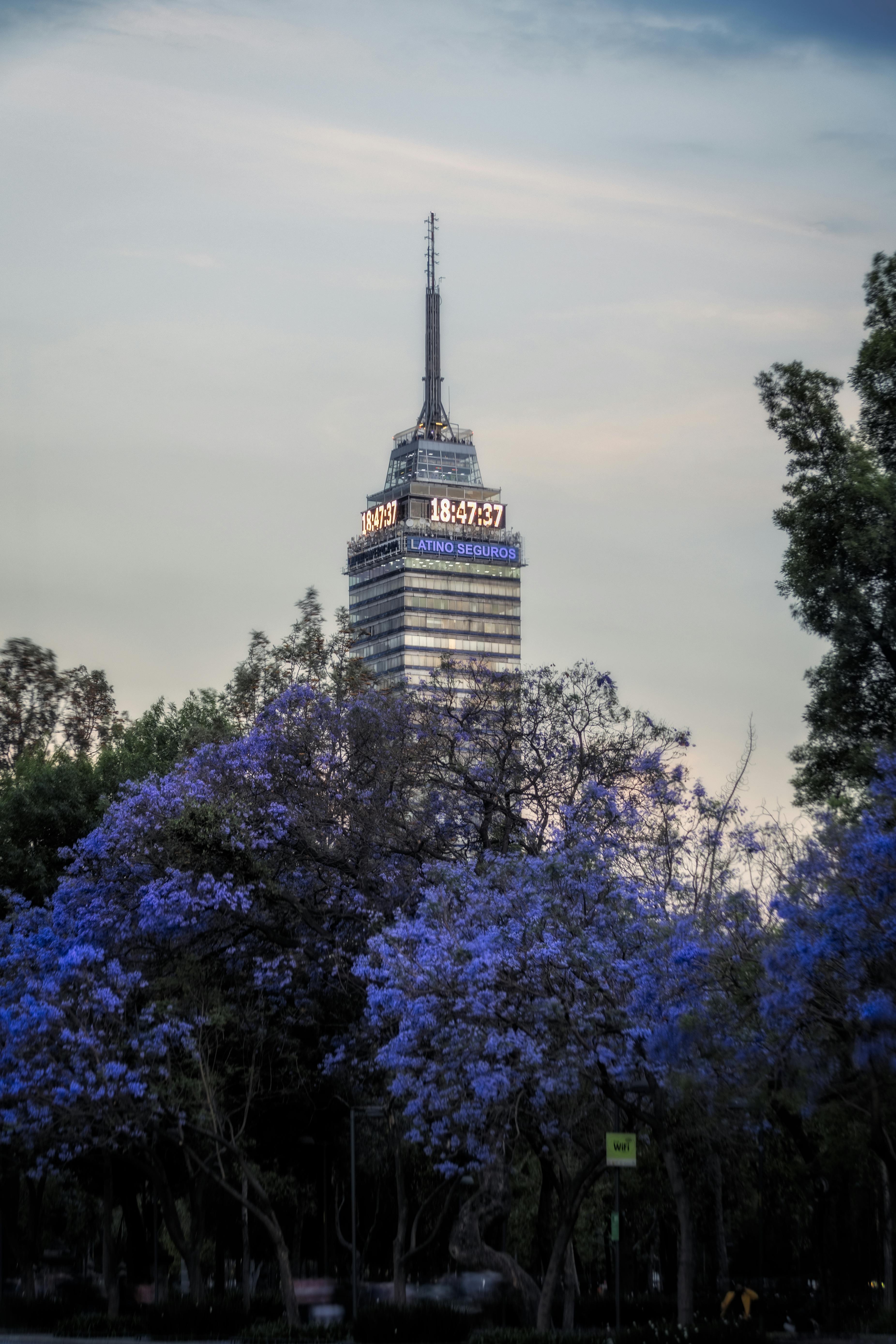 torre latinoamericana behind trees in spring in mexico city