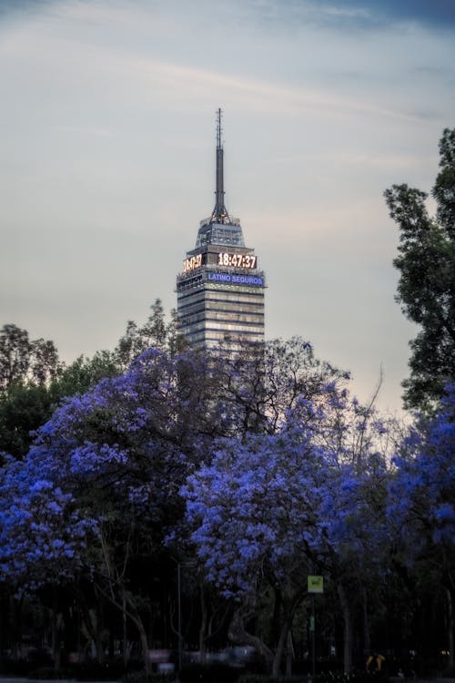 Torre Latinoamericana behind Trees in Spring in Mexico City
