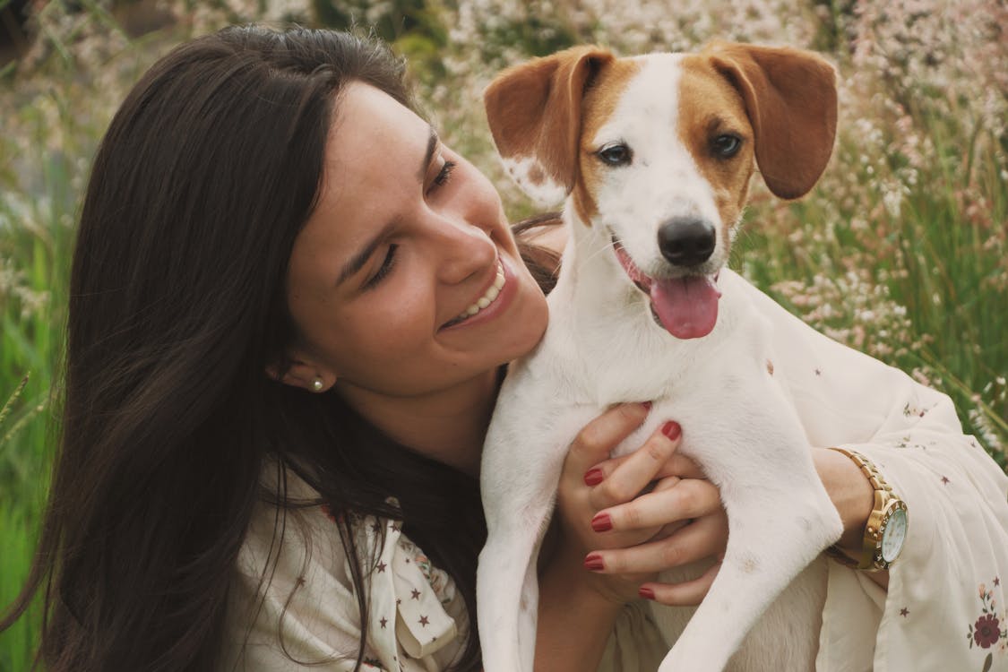 Is Your Dog Fit For Therapy Dog Training?