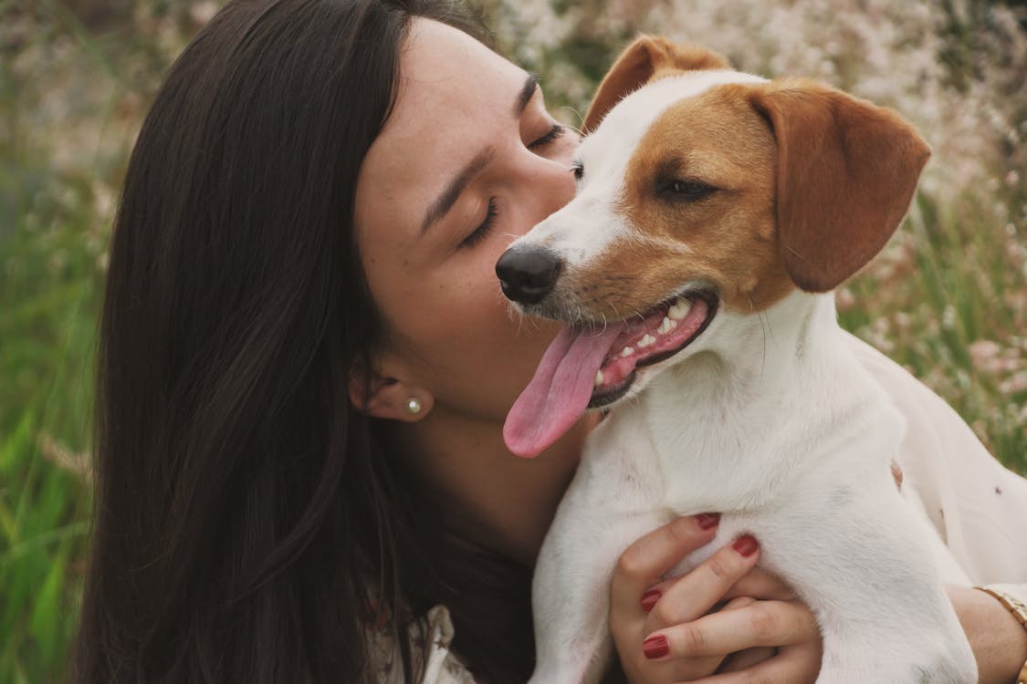 Close-Up Photo of Woman Kissing A Dog