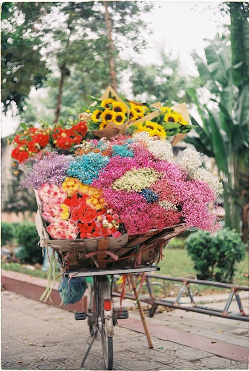 Colorful Flowers on Bicycle
