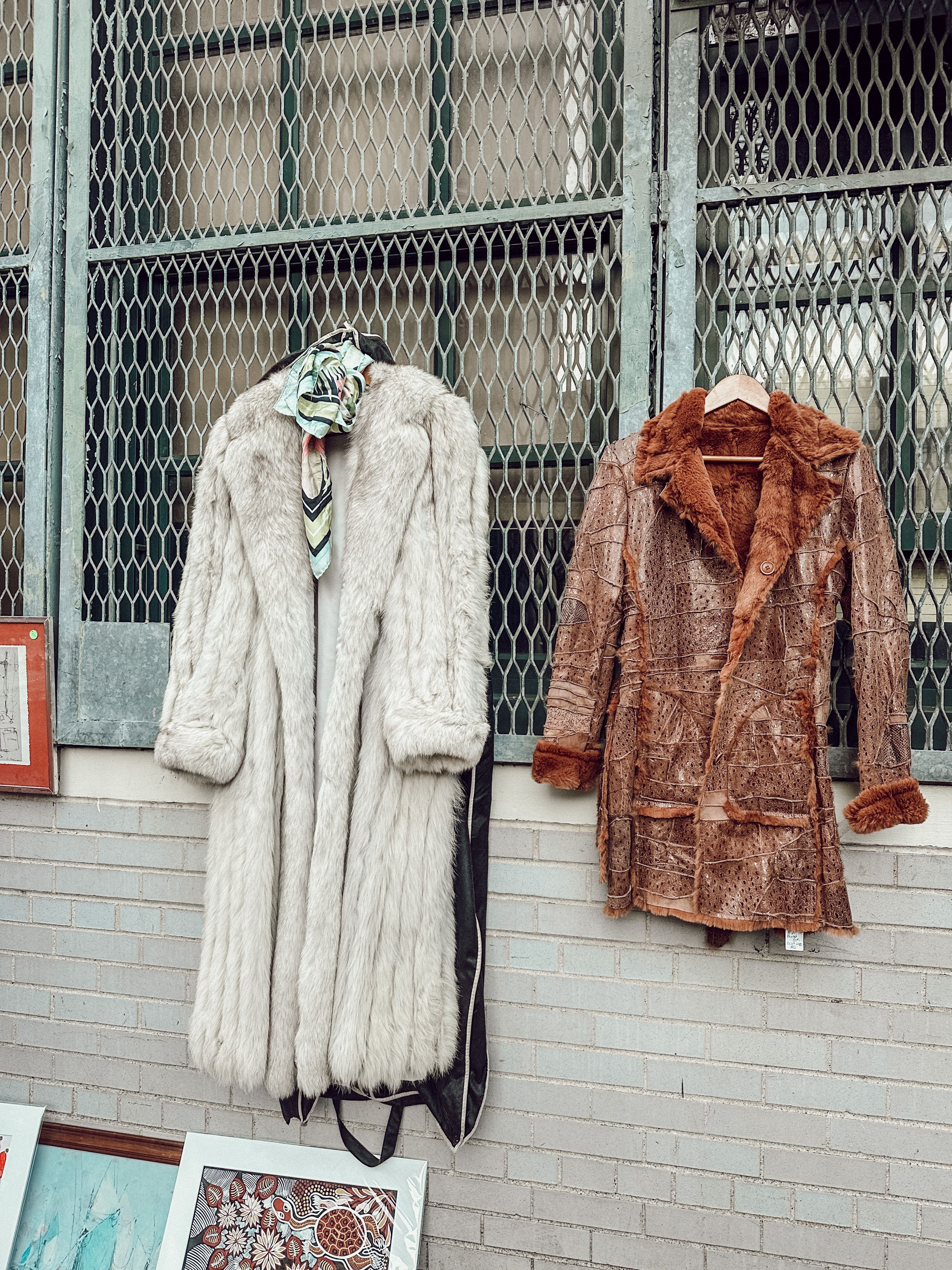 Two Fur Coats On Display · Free Stock Photo