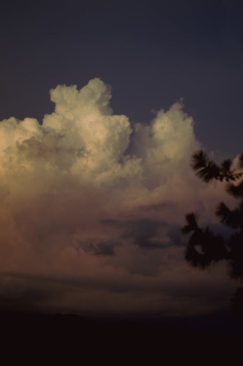 Foto profissional grátis de amante da natureza, atardecer, beleza da natureza