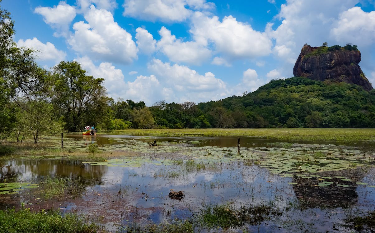 Foto profissional grátis de elefante, fortaleza de rocha, lago